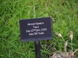 image of grave number 784894